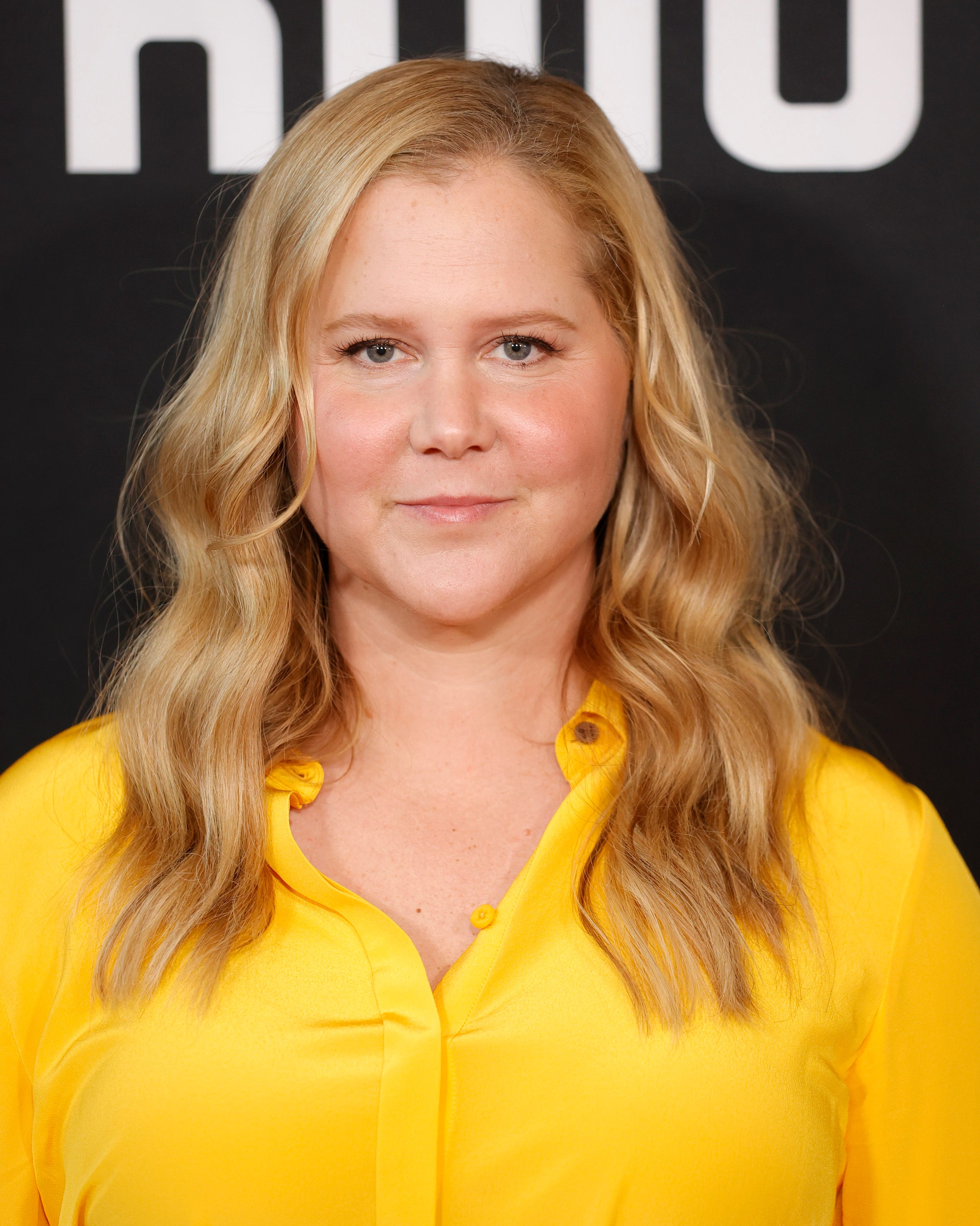 премьера фильма " Только убийства в здании" в Лос-Анджелесе, 2 сезон. прибытие